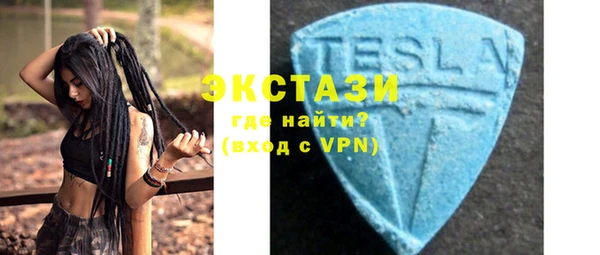 сатива Новокубанск