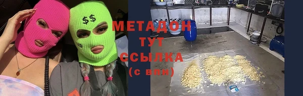 сатива Новокубанск