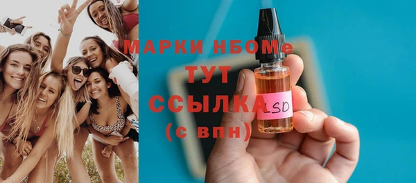 сатива Новокубанск