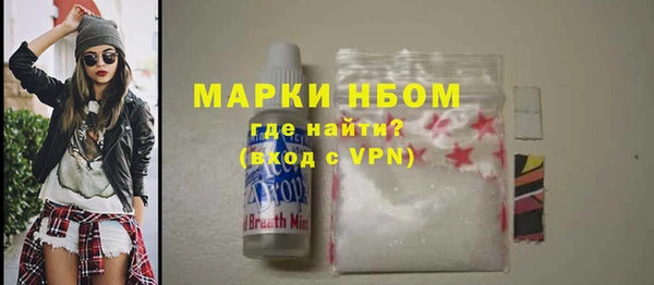 сатива Новокубанск