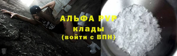 твердый Новодвинск