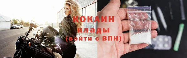 сатива Новокубанск