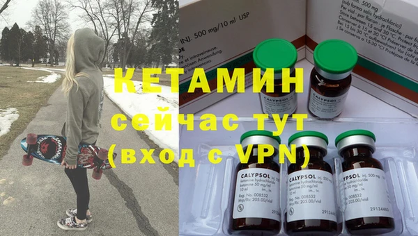 сатива Новокубанск