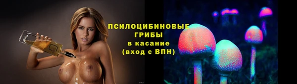 винт Анива