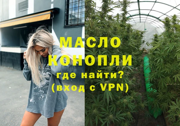 твердый Новодвинск