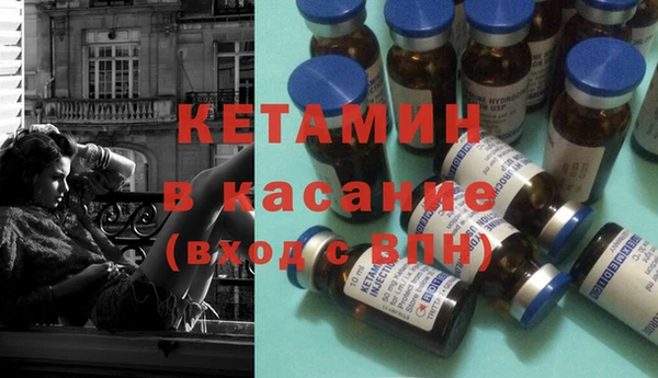 сатива Новокубанск