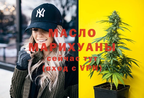 твердый Новодвинск