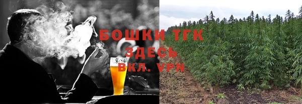 твердый Новодвинск