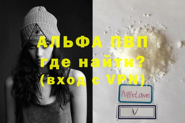 твердый Новодвинск