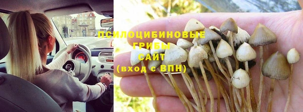 прущая мука Новозыбков