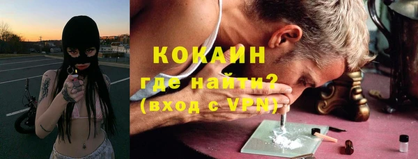 сатива Новокубанск