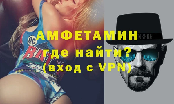 сатива Новокубанск