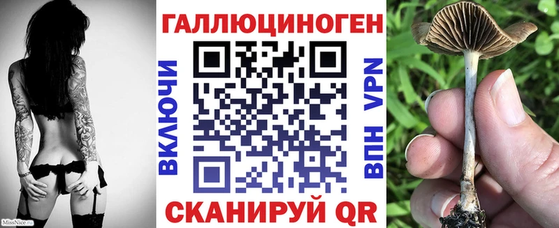 Псилоцибиновые грибы GOLDEN TEACHER Купить Закаменск